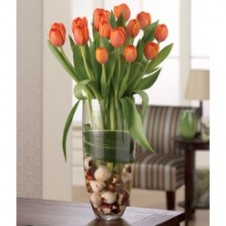 Two Dozen Orange Tulips in a Vase